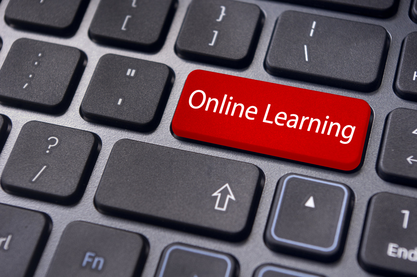 Self Paced- LMS